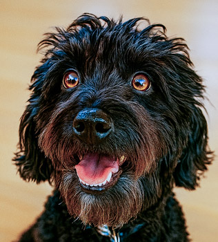 Lucy’s Calm Spirit and Growing Curiosity